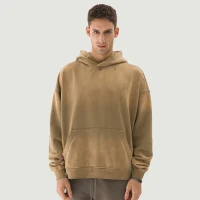 440GSM Unisex Sun Faded Distressed Hoodie - thumbnail image 1