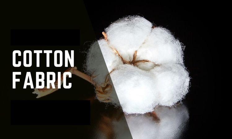 cotton-fabric-origin-and-history.jpg