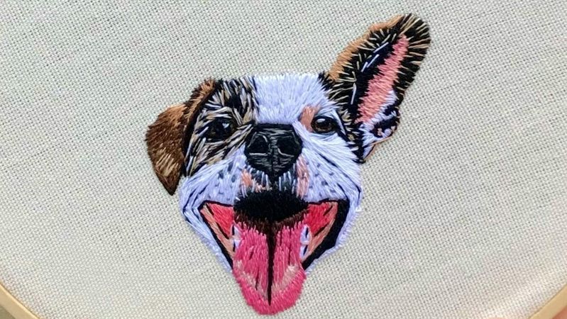 pet-embroidery.jpg