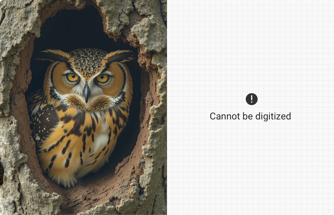photographs cannot be digitized